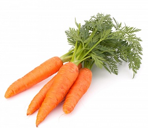 Морковь новый урожай